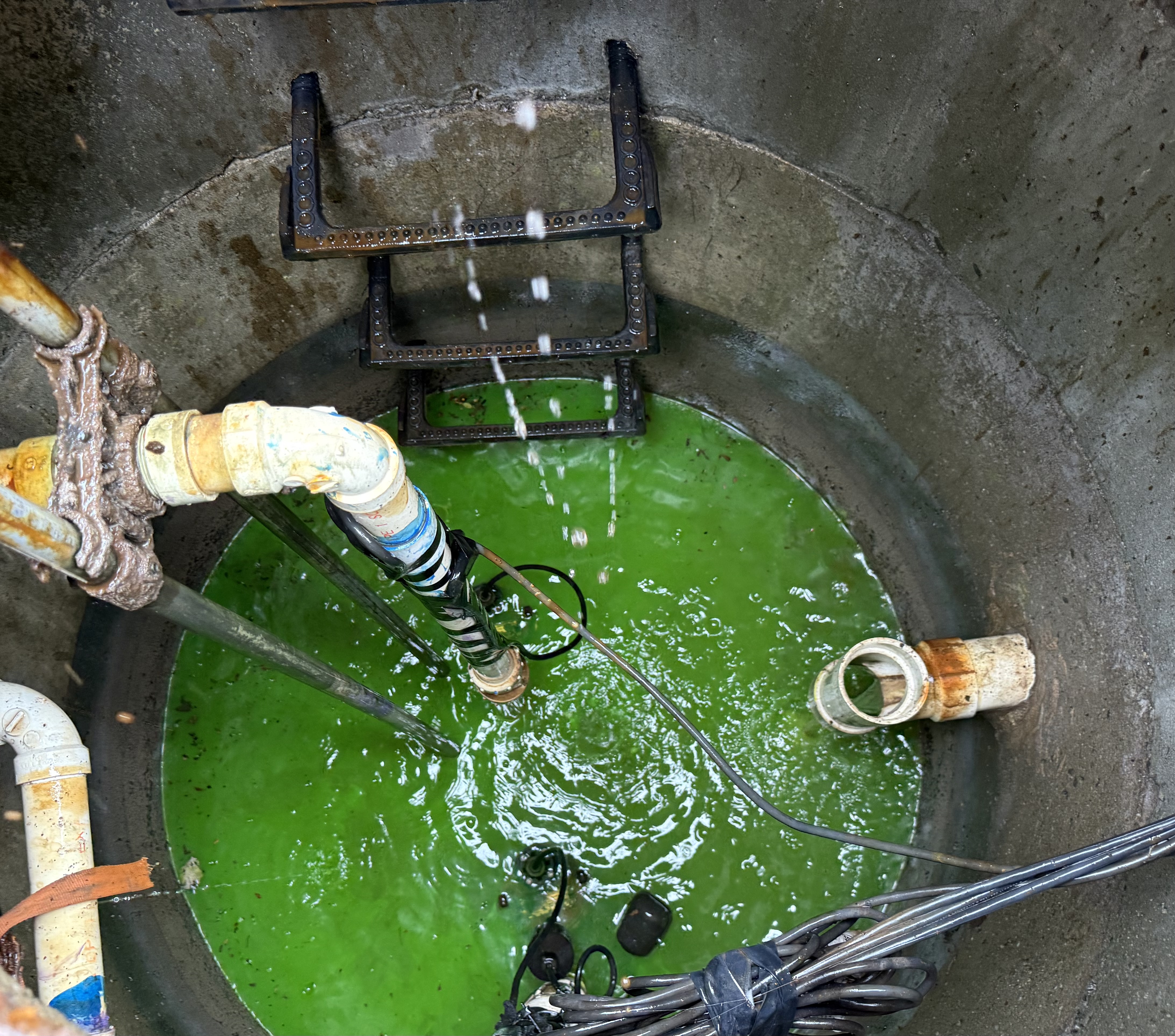 Septic system inspection and testing in progress